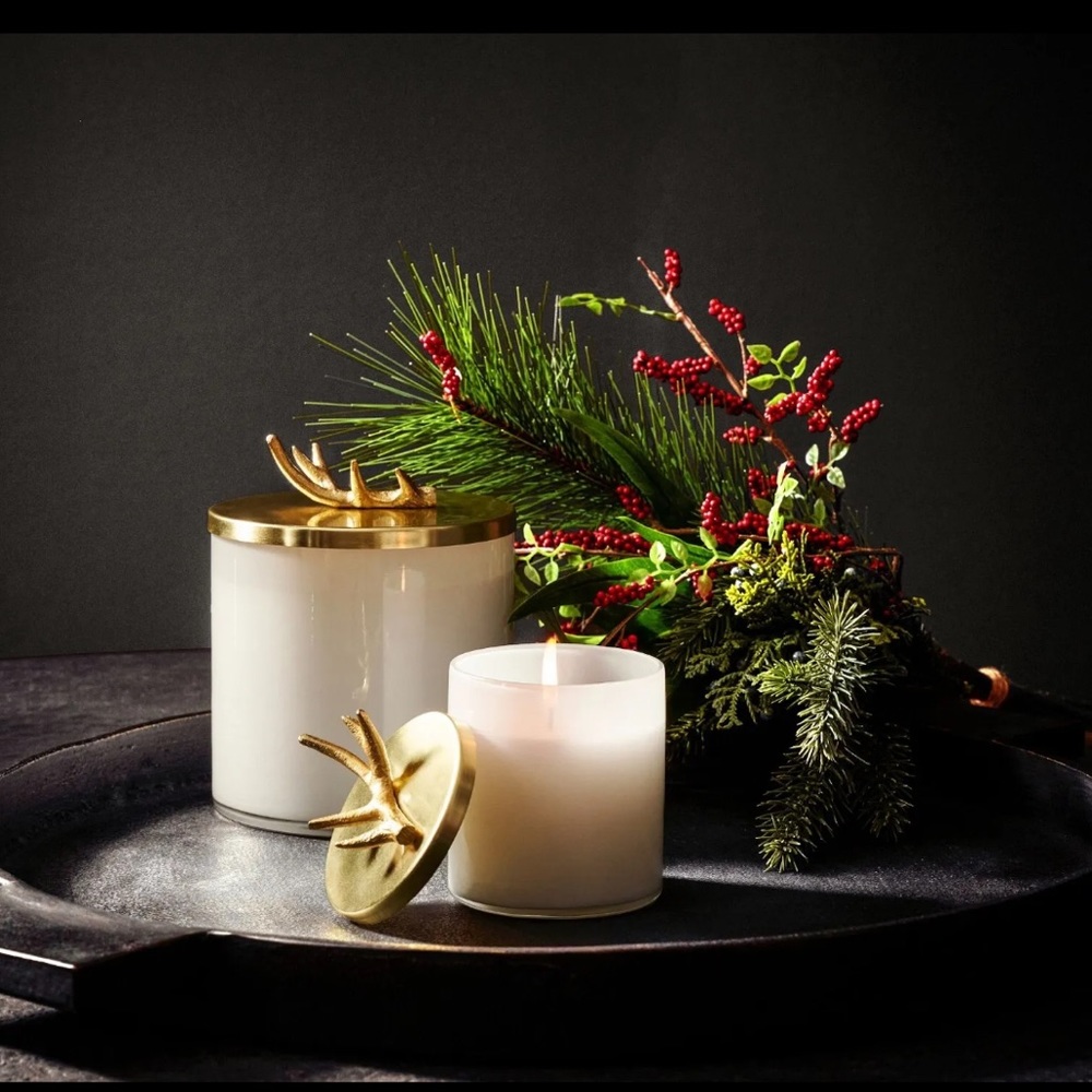 Pottery Barn Stag Antler Winter Spruce Scented Wax Candle